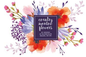 Country Meadow Flowers