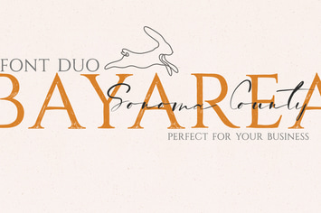 Bay Area Font Family