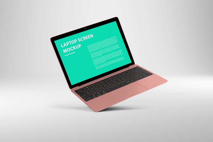 14x9 Screen Mock-Up - Rose Gold
