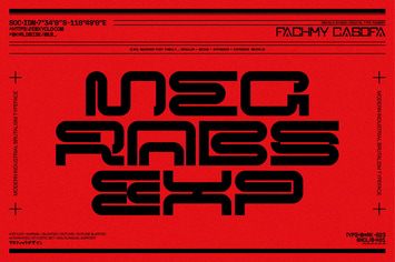 NCL Megrabs Font Family - Industrial Brutalism