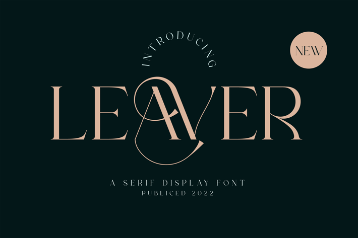 Modern Serif Display Font