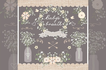 Vector Rustic baby's breath wedding design