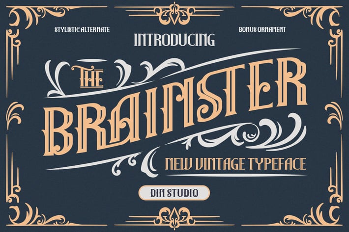 The Brainster - Display Font