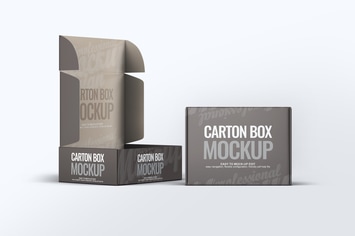 Carton Box Mock-Up