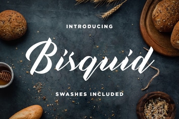 Bisquid Typeface