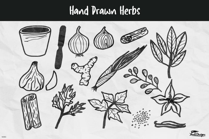 Hand Drawn Herbs