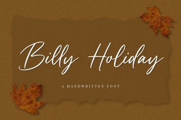 Handwritten Font