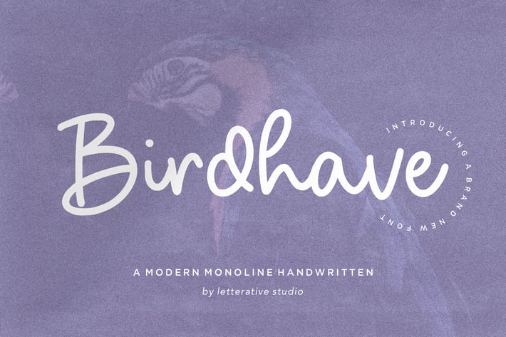 Birdhave - Modern Handwritten Logo Font