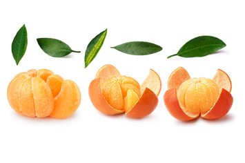 Set of tangerines