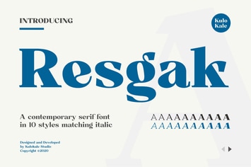 Resgak Serif Family Font
