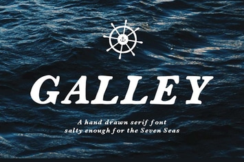 Galley 