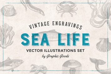Fishes & Sea Life - Engraving Illustration Set
