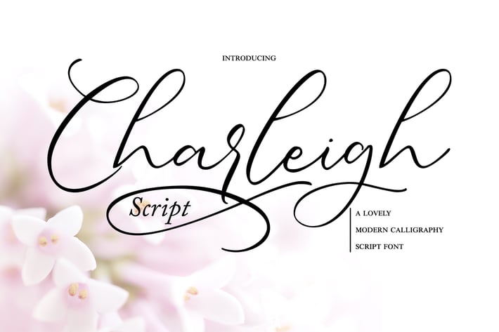 Charleigh | Modern Calligraphy Script Font