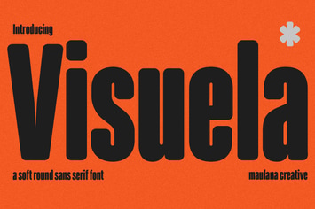 Visuela Sans Display Font
