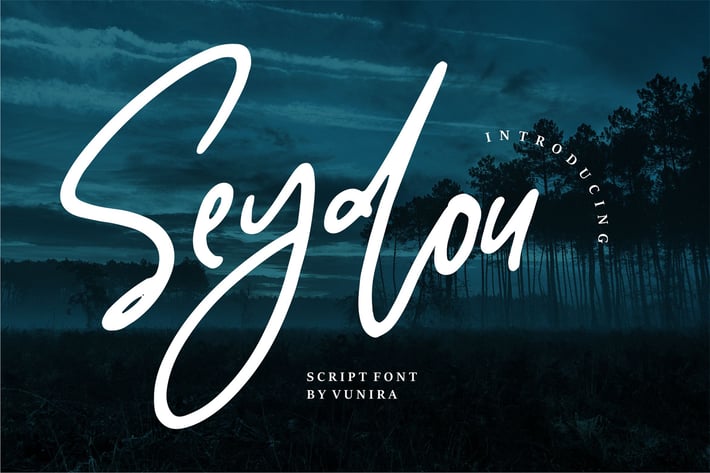 Seydou | Script Font