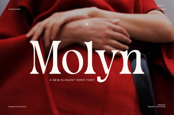 Molyn Modern Serif Font