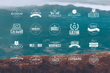 20 Vintage Logos