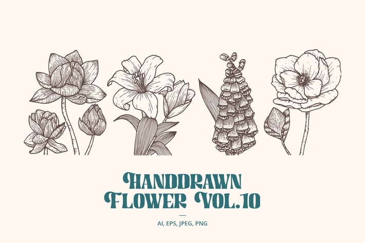 Handdrawn Flower Vol.10