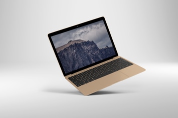 14x9 Screen Mock-Up - Gold