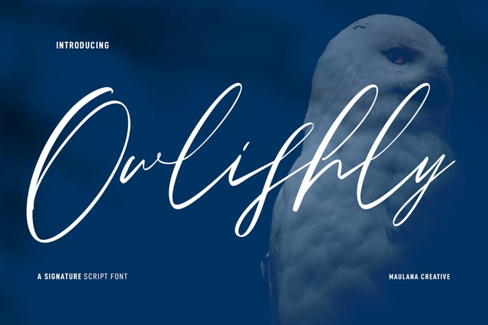 Owlishly Signature Script Font