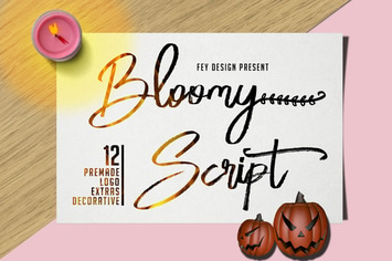 Bloomy Script - Handwritting Font