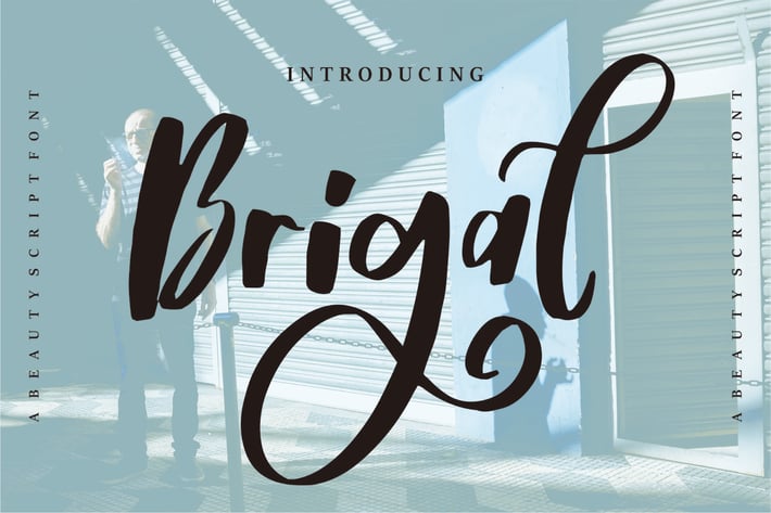 Brigal | A Beauty Script Font
