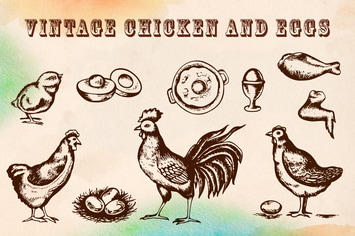Vintage Chicken and Eggs