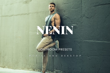 Nenin Lightroom Presets Dekstop and Mobile