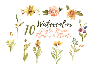 10 Watercolor Single Stem Flower and Plants