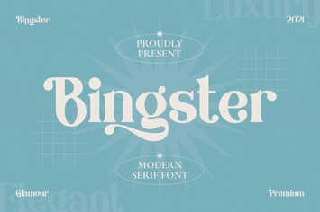 Bingster - Modern Serif Font