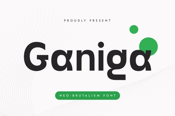 Ganiga - Neo Brutalism Font