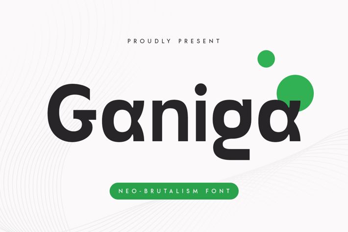 Ganiga - Neo Brutalism Font