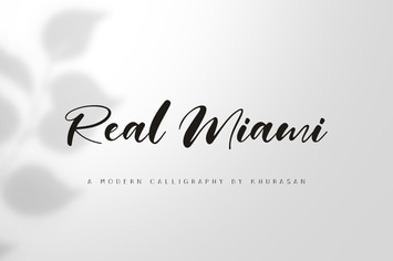 Real Miami Script
