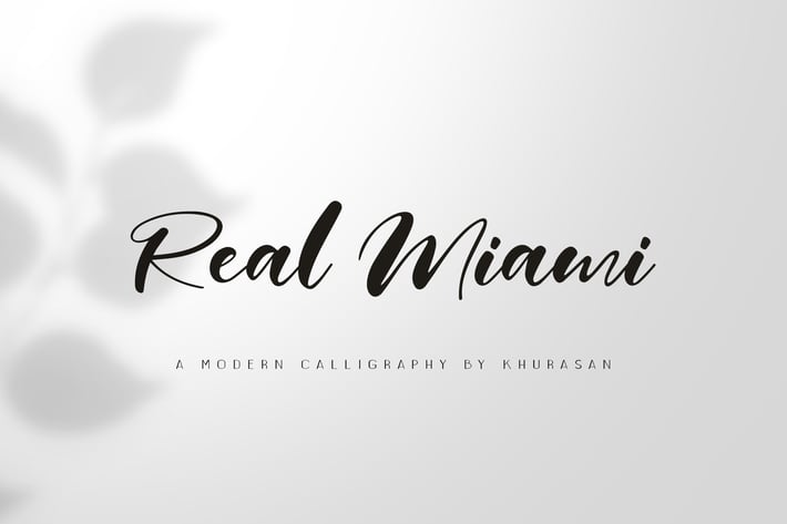 Real Miami Script