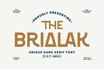 Brialak - Modern Sans Serif Fonts