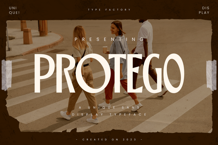 Protego - Unique Sans Display