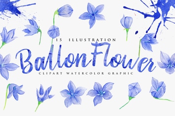 15 Watercolor Ballon Flower Illustration