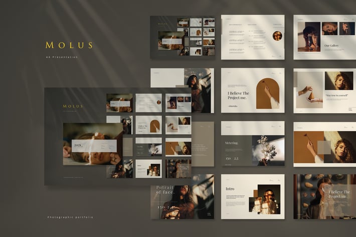 Cd Molus Portfolio Presentation
