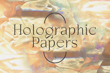 Holographic Papers Vol.2