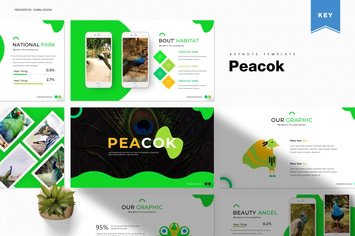 Peacok | Keynote Template