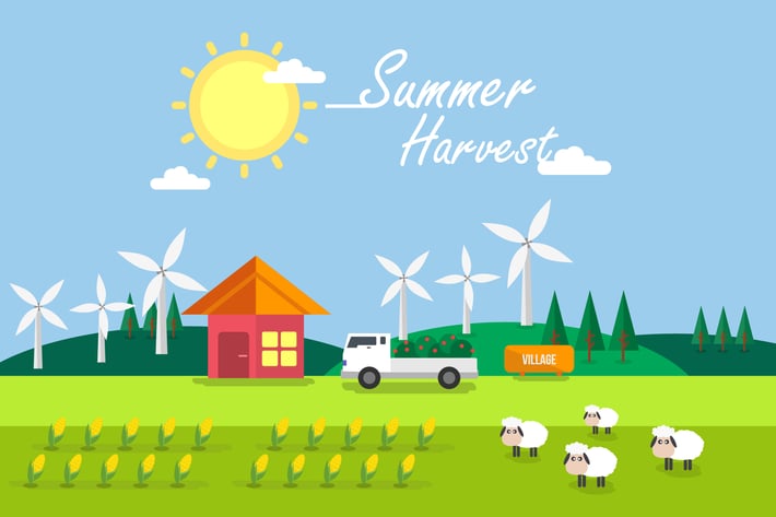 Summer Harvest - Illustration Background