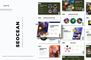 Seocean - Powerpoint Template