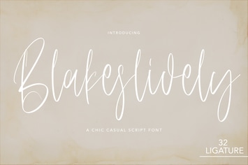Blakeslidely - Chic Sasual Script Font