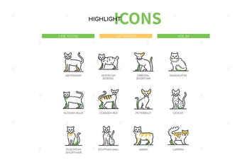 Cat Breeds - modern line design style icons
