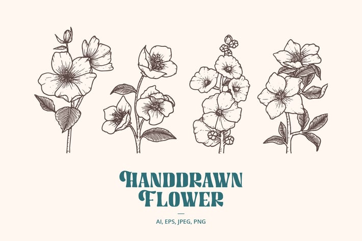 Handdrawn Flower
