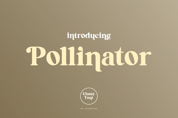 Pollinator Display Serif Font