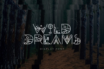 Wild Dreams Display Font