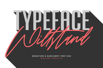 Willstand Font Duo Signature Sans Typeface