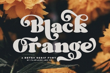 Black Orange - Retro Serif Font