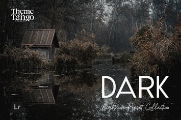 14 Dark and Moody Lightroom Presets